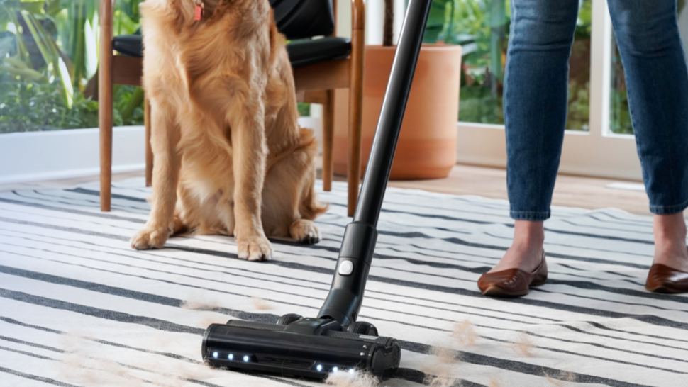 Best Cordless Vacuum For Carpet And Wood Floors Floor Roma